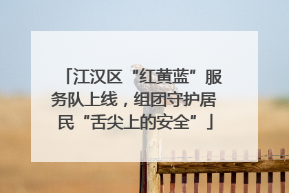 江汉区“红黄蓝”服务队上线，组团守护居民“舌尖上的安全”