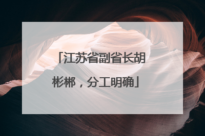 江苏省副省长胡彬郴，分工明确
