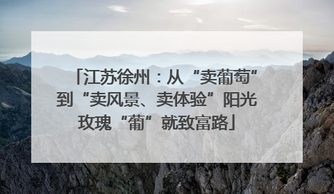 江苏徐州：从“卖葡萄”到“卖风景、卖体验”阳光玫瑰“葡”就致富路