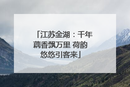 江苏金湖：千年藕香飘万里 荷韵悠悠引客来
