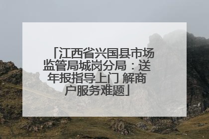 江西省兴国县市场监管局城岗分局：送年报指导上门 解商户服务难题