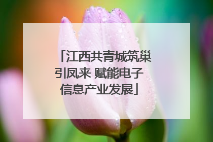 江西共青城筑巢引凤来 赋能电子信息产业发展