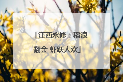 江西永修：稻浪翻金 虾跃人欢