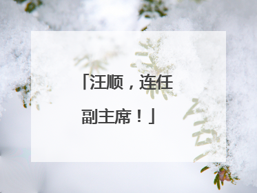 汪顺，连任副主席！
