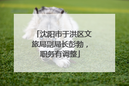 沈阳市于洪区文旅局副局长彭勃，职务有调整