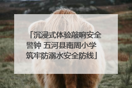 沉浸式体验敲响安全警钟 五河县南周小学筑牢防溺水安全防线