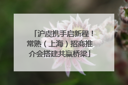 沪虞携手启新程！常熟（上海）招商推介会搭建共赢桥梁