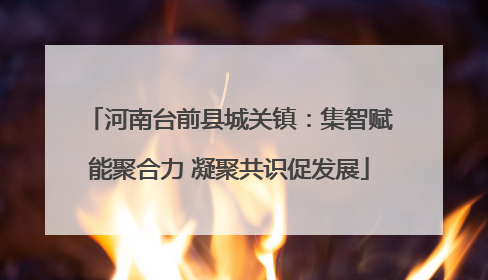 河南台前县城关镇：集智赋能聚合力 凝聚共识促发展