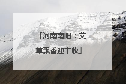 河南南阳：艾草飘香迎丰收