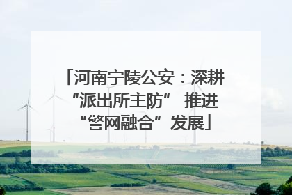 河南宁陵公安：深耕“派出所主防” 推进“警网融合”发展
