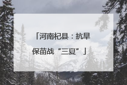 河南杞县：抗旱保苗战“三夏”
