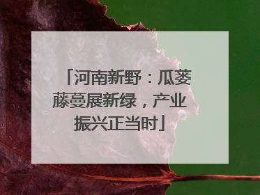 河南新野：瓜蒌藤蔓展新绿，产业振兴正当时