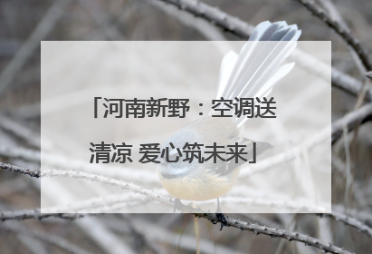 河南新野：空调送清凉 爱心筑未来