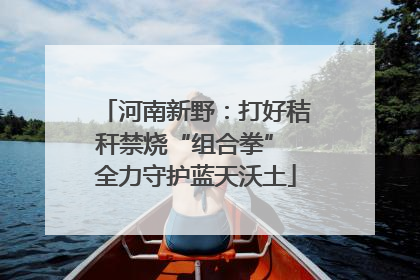 河南新野：打好秸秆禁烧“组合拳” 全力守护蓝天沃土
