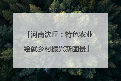 河南沈丘：特色农业绘就乡村振兴新图景