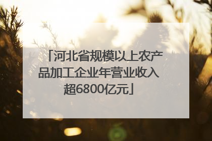 河北省规模以上农产品加工企业年营业收入超6800亿元