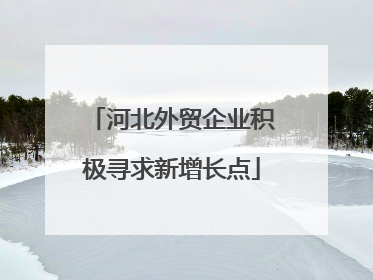 河北外贸企业积极寻求新增长点