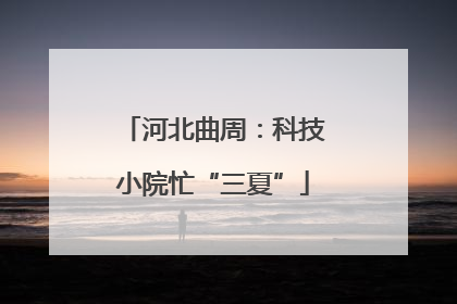 河北曲周：科技小院忙“三夏”