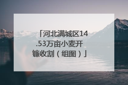 河北满城区14.53万亩小麦开镰收割（组图）
