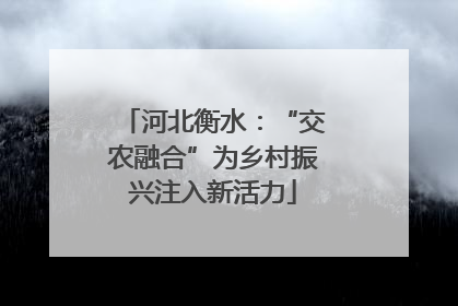 河北衡水：“交农融合”为乡村振兴注入新活力