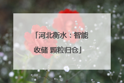 河北衡水：智能收储 颗粒归仓