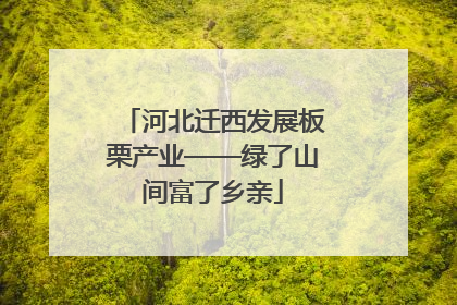 河北迁西发展板栗产业——绿了山间富了乡亲