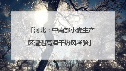 河北：中南部小麦生产区遭遇高温干热风考验