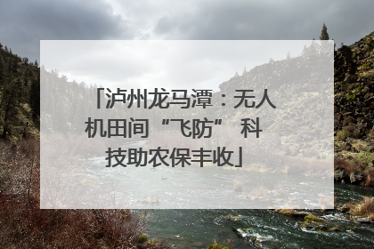 泸州龙马潭：无人机田间“飞防” 科技助农保丰收