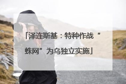 泽连斯基：特种作战“蛛网”为乌独立实施