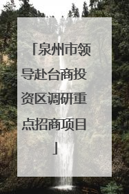泉州市领导赴台商投资区调研重点招商项目