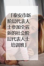 泰安市新阶层代表人士参加全省新的社会阶层代表人士培训班