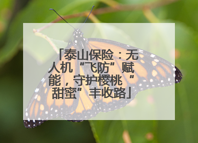 泰山保险：无人机“飞防”赋能，守护樱桃“甜蜜”丰收路