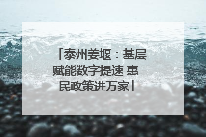 泰州姜堰：基层赋能数字提速 惠民政策进万家