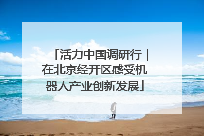 活力中国调研行｜在北京经开区感受机器人产业创新发展