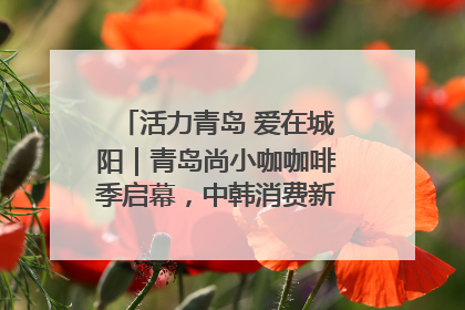 活力青岛 爱在城阳｜青岛尚小咖咖啡季启幕，中韩消费新场景点燃夏日热情