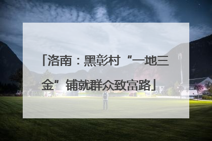 洛南：黑彰村“一地三金”铺就群众致富路