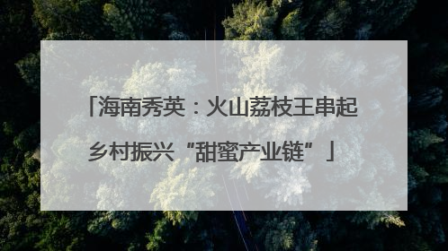 海南秀英：火山荔枝王串起乡村振兴“甜蜜产业链”