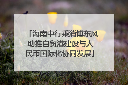 海南中行乘消博东风 助推自贸港建设与人民币国际化协同发展