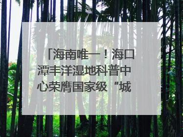 海南唯一！海口潭丰洋湿地科普中心荣膺国家级“城市儿童友好空间建设园区”称号