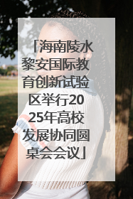 海南陵水黎安国际教育创新试验区举行2025年高校发展协同圆桌会会议