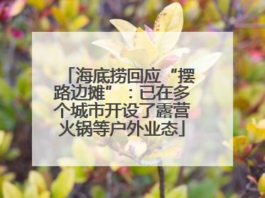 海底捞回应“摆路边摊”：已在多个城市开设了露营火锅等户外业态