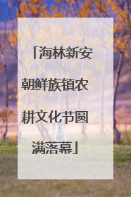 海林新安朝鲜族镇农耕文化节圆满落幕