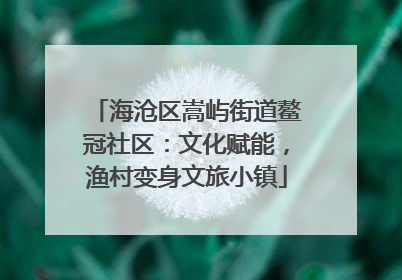 海沧区嵩屿街道鳌冠社区：文化赋能，渔村变身文旅小镇