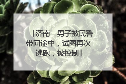 济南一男子被民警带回途中，试图再次逃跑，被控制