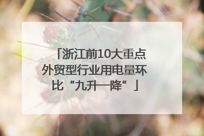 浙江前10大重点外贸型行业用电量环比“九升一降”