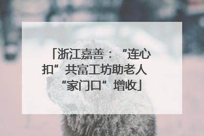 浙江嘉善：“连心扣”共富工坊助老人“家门口”增收
