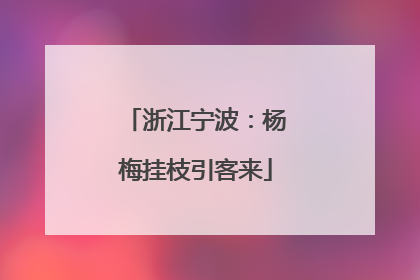 浙江宁波：杨梅挂枝引客来