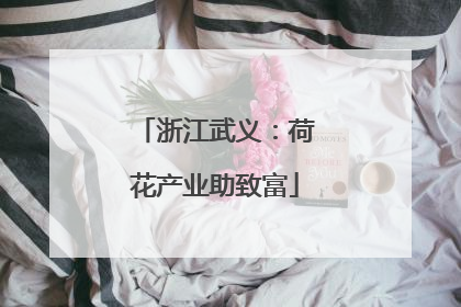 浙江武义：荷花产业助致富