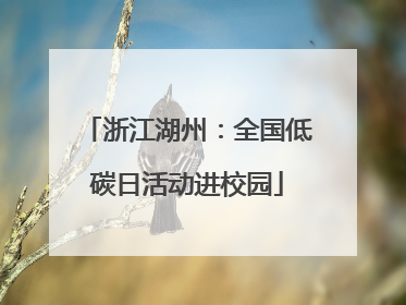 浙江湖州：全国低碳日活动进校园