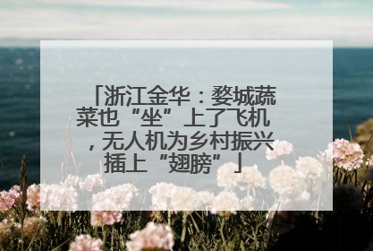 浙江金华：婺城蔬菜也“坐”上了飞机，无人机为乡村振兴插上“翅膀”